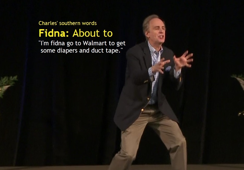 Charles’ southern word of the day: Fidna