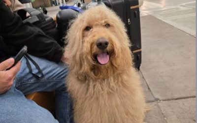 Met a new friend in Albuquerque