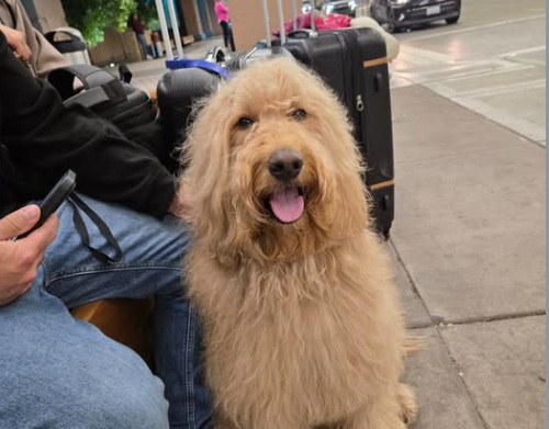 Met a new friend in Albuquerque