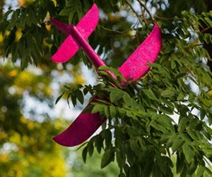 My Painful Christmas History