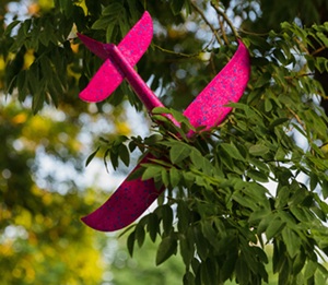 My Painful Christmas History